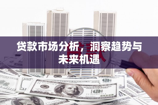 阳山贷款市场分析，洞察趋势与未来机遇