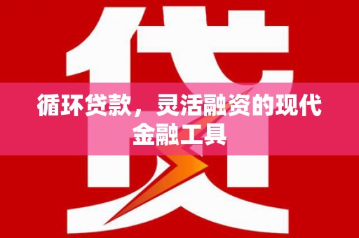 阳山循环贷款，灵活融资的现代金融工具