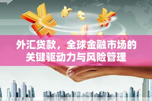 阳山外汇贷款，全球金融市场的关键驱动力与风险管理