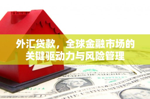 阳山外汇贷款，全球金融市场的关键驱动力与风险管理