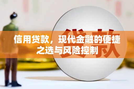 阳山信用贷款，现代金融的便捷之选与风险控制