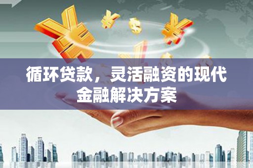 阳山循环贷款，灵活融资的现代金融解决方案