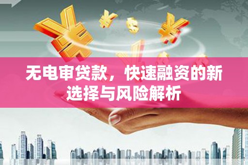 阳山无电审贷款，快速融资的新选择与风险解析