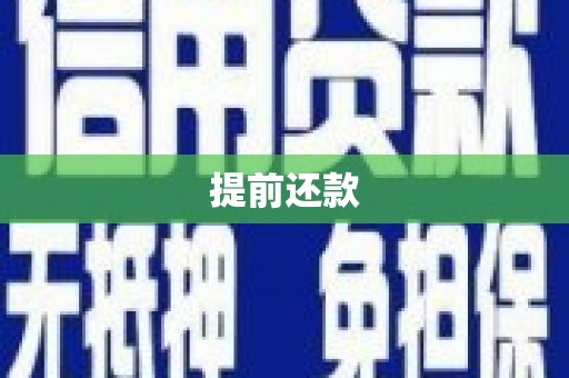 阳山提前还款