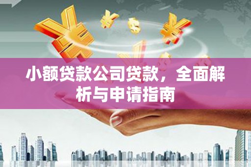 阳山小额贷款公司贷款，全面解析与申请指南