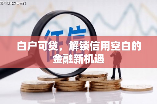 阳山白户可贷，解锁信用空白的金融新机遇