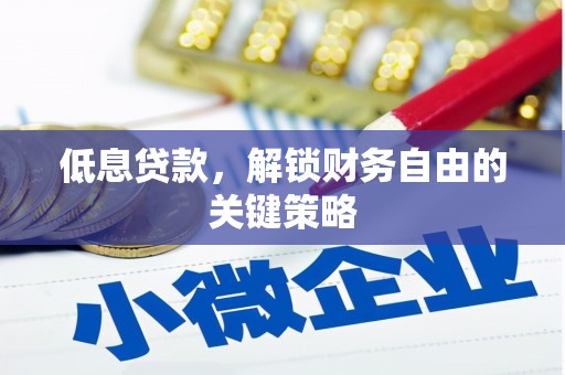 阳山低息贷款，解锁财务自由的关键策略