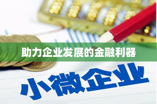 阳山助力企业发展的金融利器