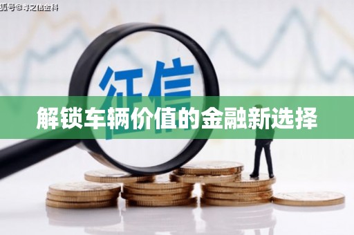阳山解锁车辆价值的金融新选择