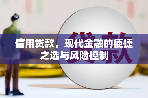 阳山信用贷款，现代金融的便捷之选与风险控制