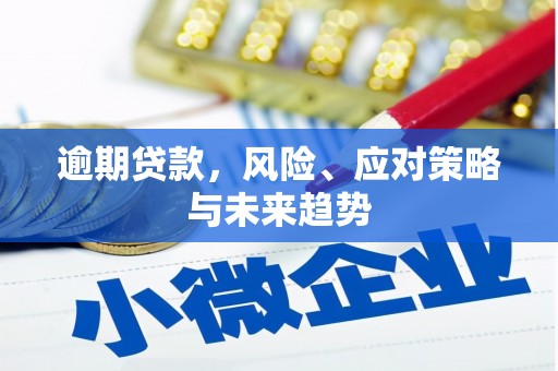 阳山逾期贷款，风险、应对策略与未来趋势