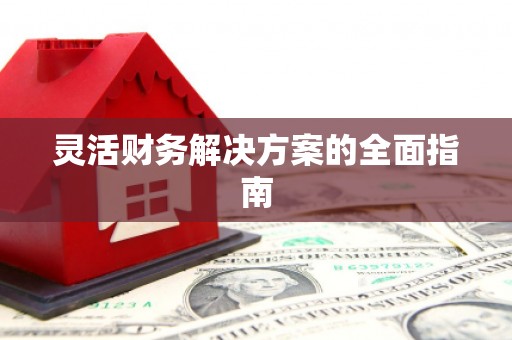 阳山灵活财务解决方案的全面指南