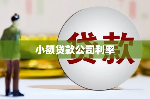 阳山小额贷款公司利率