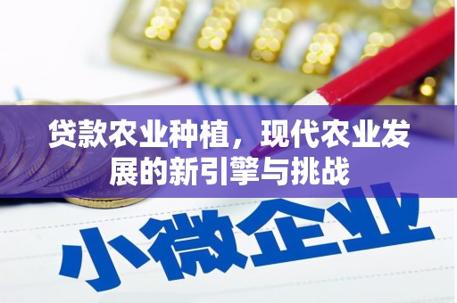 阳山贷款农业种植，现代农业发展的新引擎与挑战