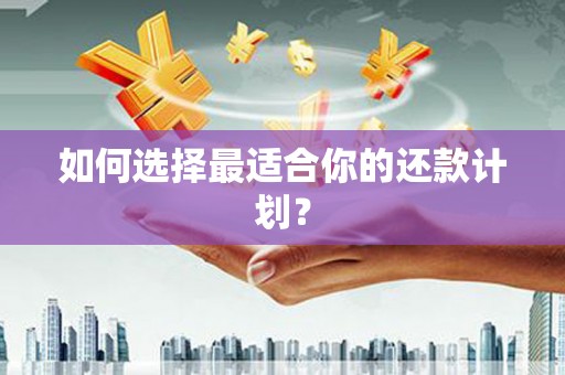 阳山如何选择最适合你的还款计划？