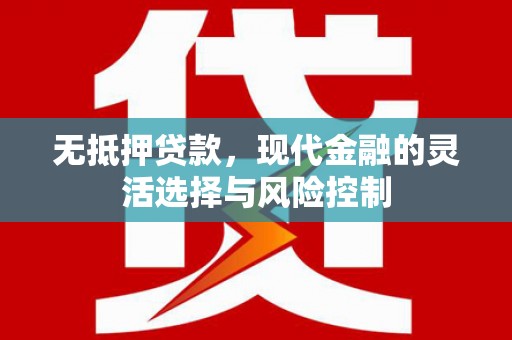 阳山无抵押贷款，现代金融的灵活选择与风险控制