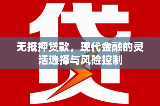 阳山无抵押贷款，现代金融的灵活选择与风险控制