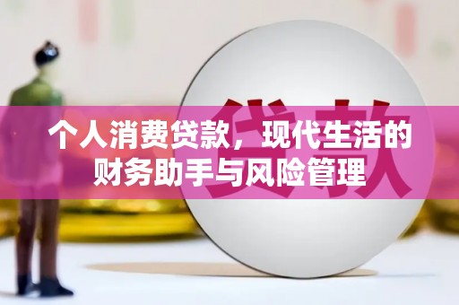 阳山个人消费贷款，现代生活的财务助手与风险管理