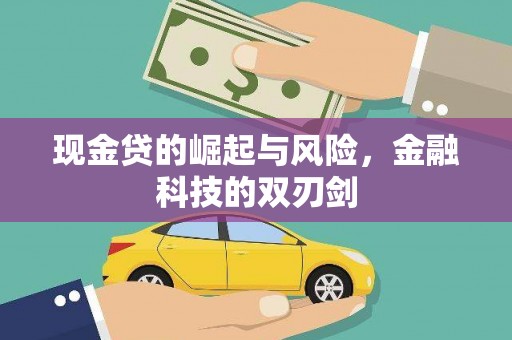 阳山现金贷的崛起与风险，金融科技的双刃剑