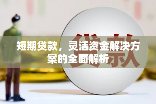 阳山短期贷款，灵活资金解决方案的全面解析