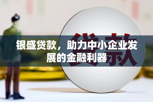 阳山银盛贷款，助力中小企业发展的金融利器