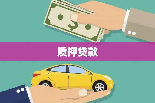 阳山质押贷款