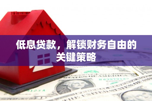 阳山低息贷款，解锁财务自由的关键策略