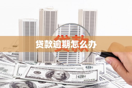 阳山贷款逾期怎么办