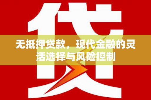 阳山无抵押贷款，现代金融的灵活选择与风险控制
