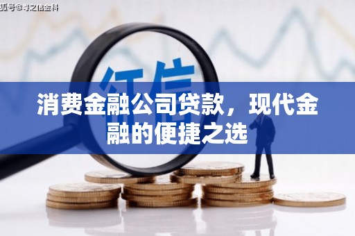 阳山消费金融公司贷款，现代金融的便捷之选