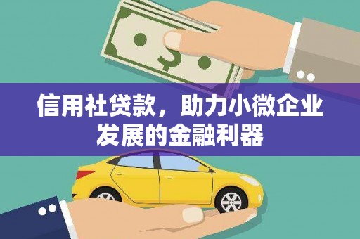 阳山信用社贷款，助力小微企业发展的金融利器
