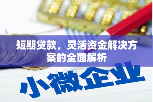 阳山短期贷款，灵活资金解决方案的全面解析