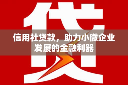 阳山信用社贷款，助力小微企业发展的金融利器