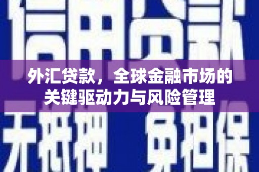 阳山外汇贷款，全球金融市场的关键驱动力与风险管理