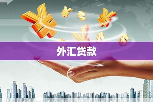 阳山外汇贷款