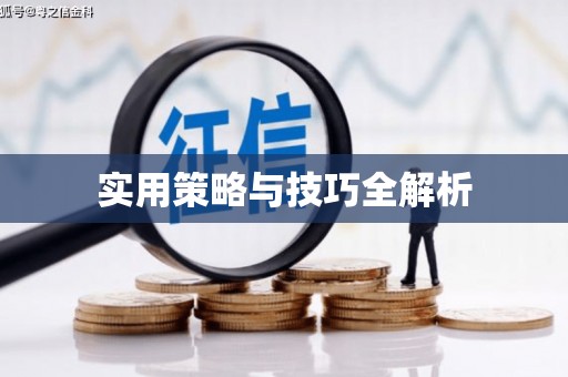 阳山实用策略与技巧全解析