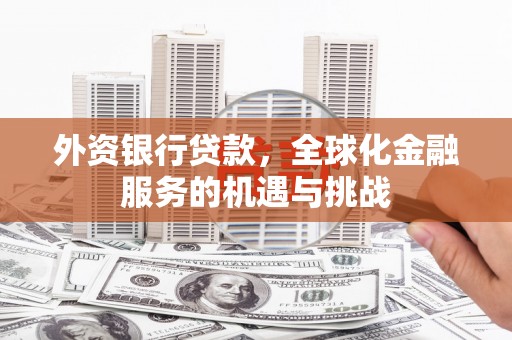 阳山外资银行贷款，全球化金融服务的机遇与挑战