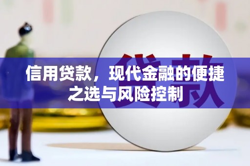 阳山信用贷款，现代金融的便捷之选与风险控制