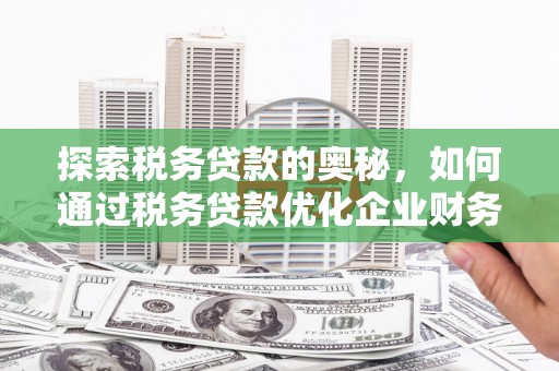 阳山探索税务贷款的奥秘，如何通过税务贷款优化企业财务