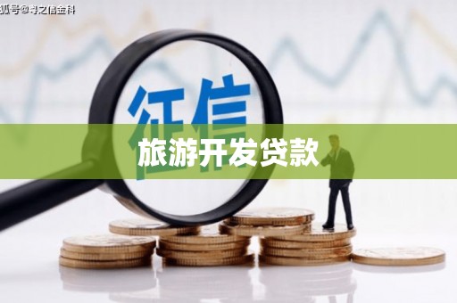 阳山旅游开发贷款