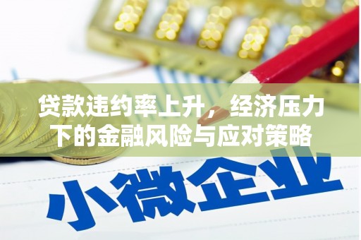 阳山贷款违约率上升，经济压力下的金融风险与应对策略