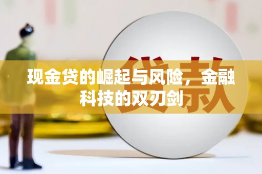 阳山现金贷的崛起与风险，金融科技的双刃剑