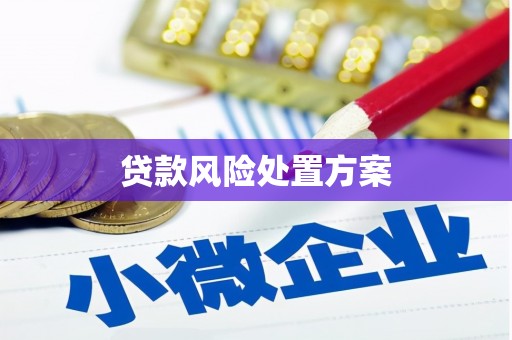 阳山贷款风险处置方案