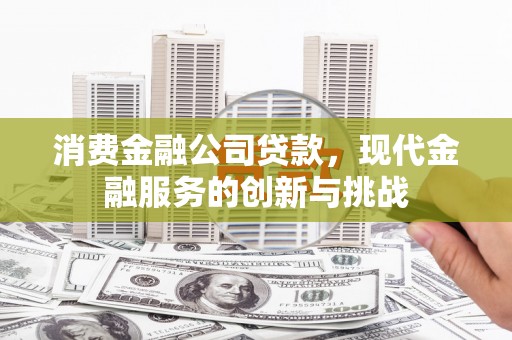 阳山消费金融公司贷款，现代金融服务的创新与挑战