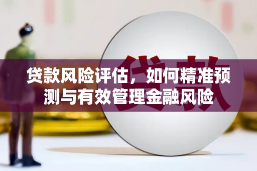 阳山贷款风险评估，如何精准预测与有效管理金融风险