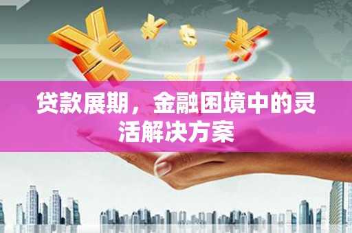 阳山贷款展期，金融困境中的灵活解决方案