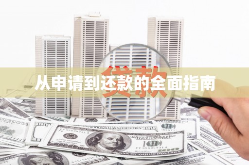 阳山从申请到还款的全面指南