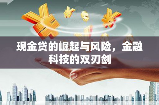阳山现金贷的崛起与风险，金融科技的双刃剑