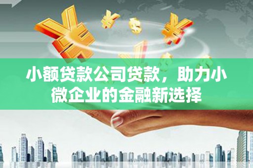 阳山小额贷款公司贷款，助力小微企业的金融新选择
