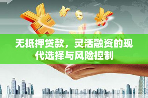阳山无抵押贷款，灵活融资的现代选择与风险控制